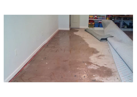 Flood Damage Restoration Melbourne - 1/4
