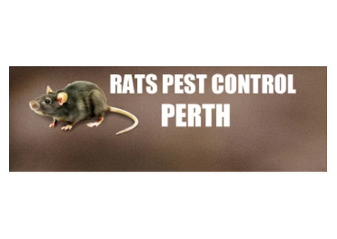 Be Worry-Free of Rats with Pest Control Perth - 2/2