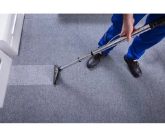 Wet Carpet Drying