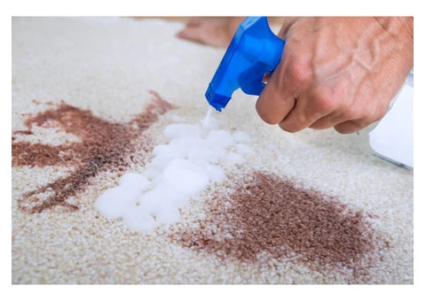 Rug Steam Cleaning in Wyndham vale