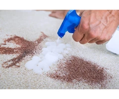 Rug Steam Cleaning in Wyndham vale