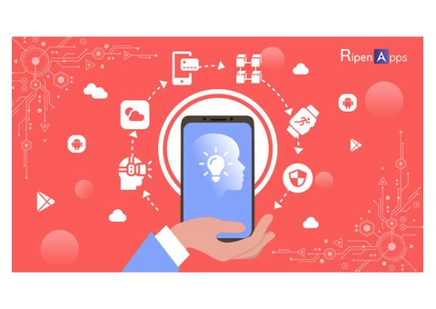Hire Developers for App in Australia