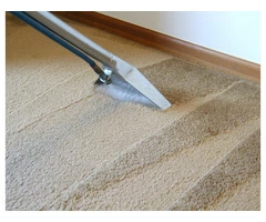 Wet Carpet Drying