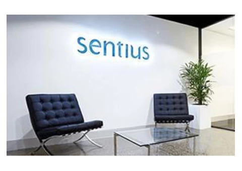 Online Digital Strategy Agency - 7/7