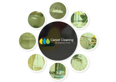 Carpet Cleaning Mornington - 2/3