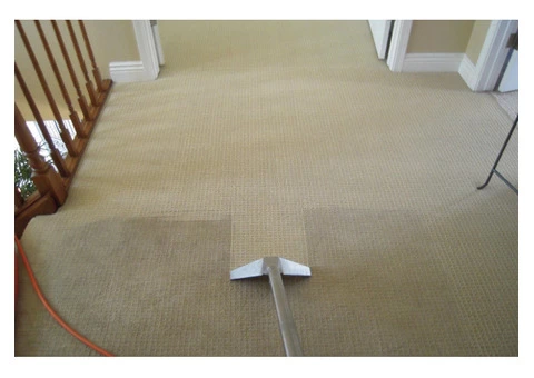 Carpet Cleaning Sheidow Park - 1/4
