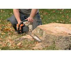 Quality Tree Stump and Root Removal Specialists in Brighton - Stump Removal Malvern