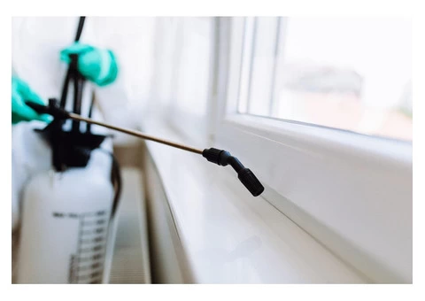 Pest Control Penrith - 4/4