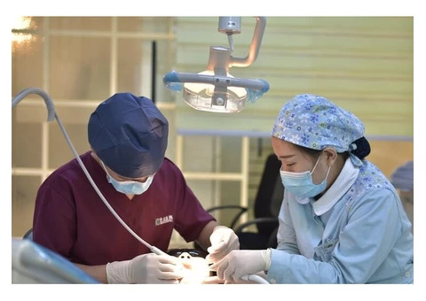 For Your Dental Problems Visit Dentist Kew - 1/4