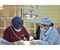 For Your Dental Problems Visit Dentist Kew