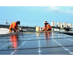 Searching the best Darwin solar panels!!!