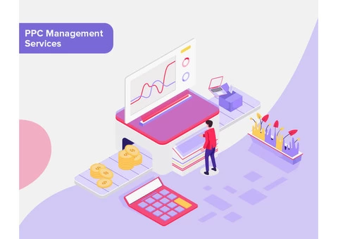 Best PPCAgency in Australia - Elsner.com.au