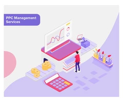 Best PPCAgency in Australia - Elsner.com.au