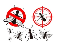 Pest Control Cranbourne