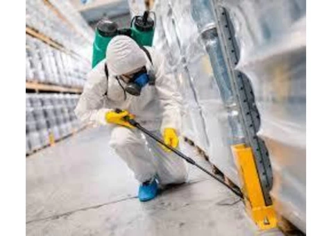 Pest Control Frankston - 3/5