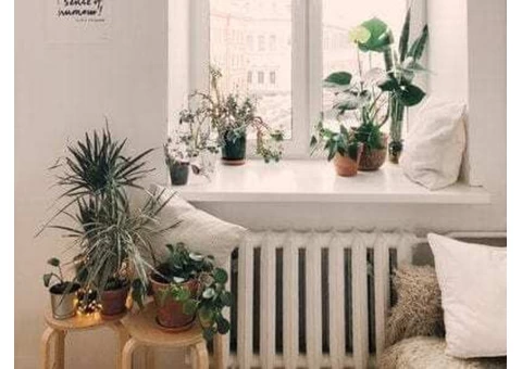 Home Deep Cleaning In Sydney | Simply Maid