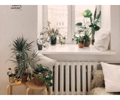 Home Deep Cleaning In Sydney | Simply Maid