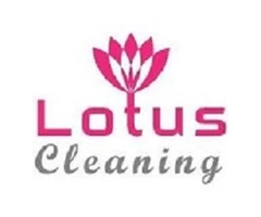 Lotus Upholstery Cleaning Camberwell