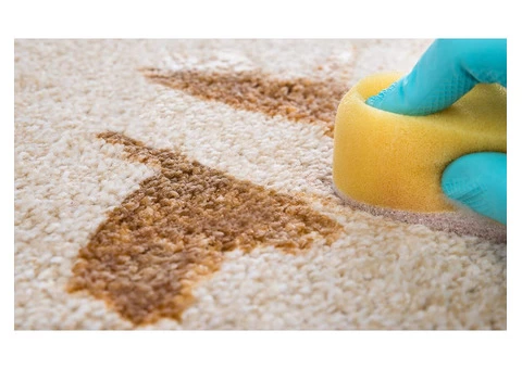 Carpet Cleaning Perth - 7/7