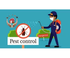 Best Termite Control Penrith