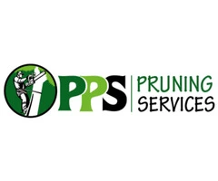 Hire Tree Removal and Pruning Across Perth