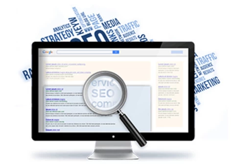 Website SEO Analysis Service