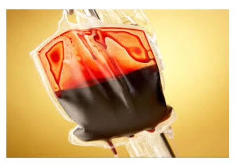 Fear of public Transport North Shore - 3/4