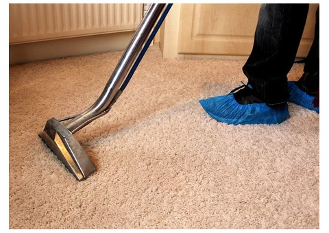 Carpet Steam Cleaning