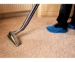 Carpet Steam Cleaning