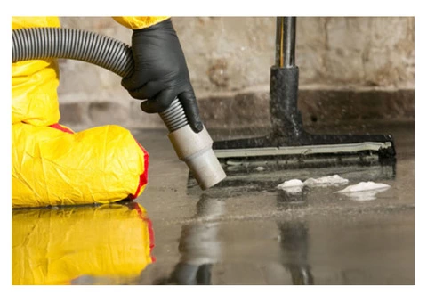 Mould Inspection Brisbane l Mould Cleaners Brisbane l Mould Removal - 1/3