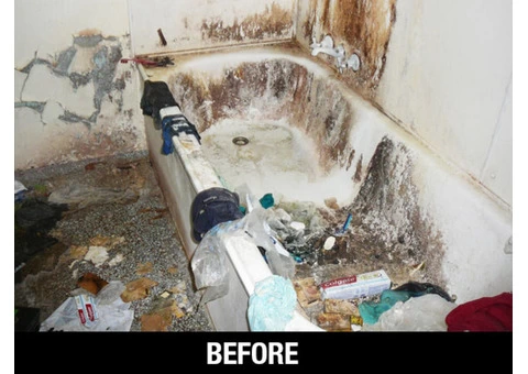 Mould Inspection Brisbane l Mould Cleaners Brisbane l Mould Removal - 2/3