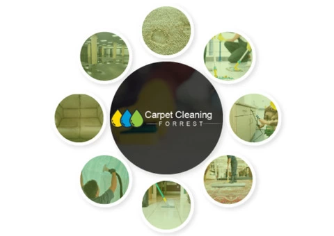 Carpet Cleaning Forrest - 2/3