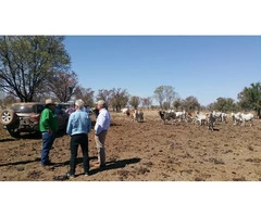 Australian Designed Remote Pump Control - Station Innovation