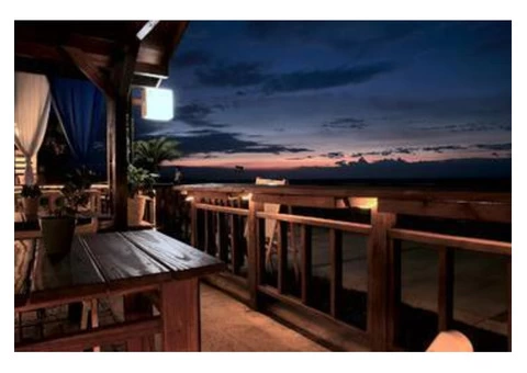 Best Paving and Tiling Landscape Construction Company - LivingScape - 1/3