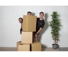 Cheap Furniture Movers Melbourne | Furniture Removalist Services | ProMove Transport