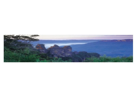 Pest Inspection Blue Mountains
