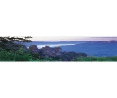 Pest Inspection Blue Mountains