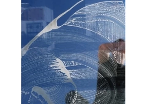 Window Cleaner In Perth || 0451 946 369