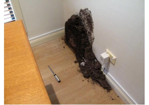 Are You Searching For A Pest Control Service?