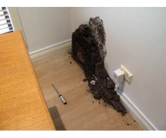 Are You Searching For A Pest Control Service?