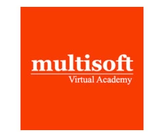 PMP Online Training – Multisoft Virtual Academy
