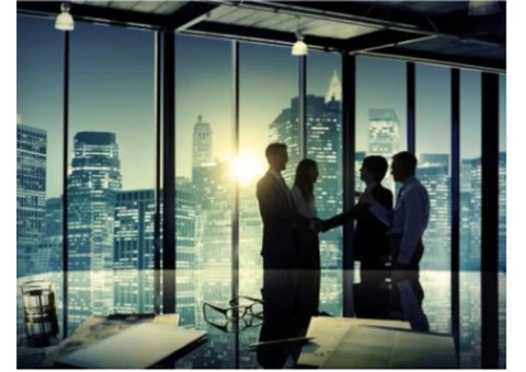 Marketing Consultant Services