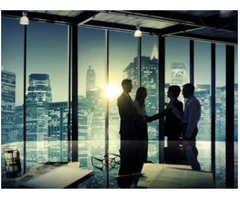 Marketing Consultant Services