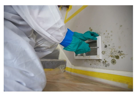 Commercial Mould Remediation Australia,