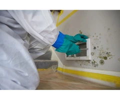 Commercial Mould Remediation Australia,
