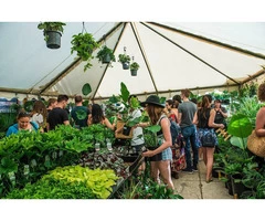 The Jungle Collective