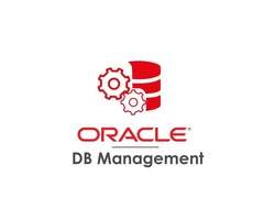 Oracle Database Development Services | Hire Oracle Database Developers