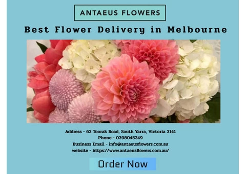 Best Flower Delivery Melbourne | Antaeus Flowers