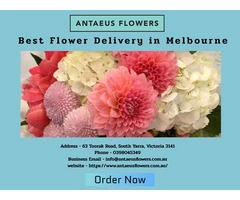 Best Flower Delivery Melbourne | Antaeus Flowers
