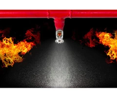 Get The Professional Fire Protection Consultancy Services At Firewatch Western